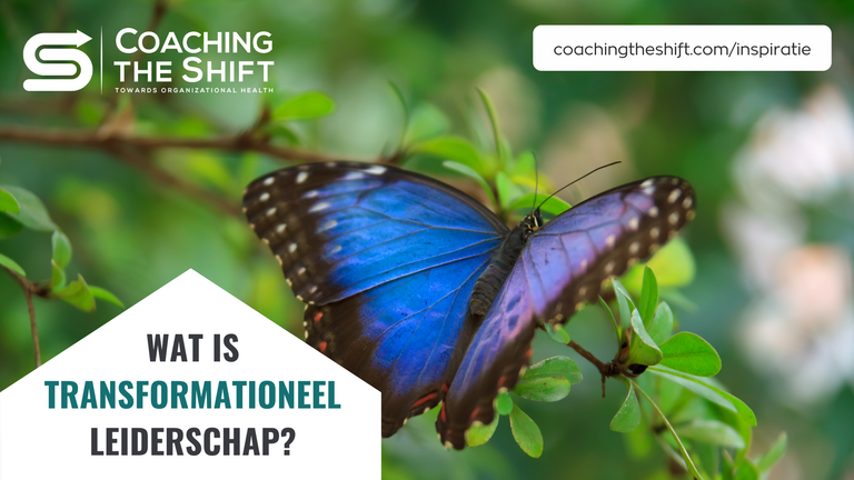 Transformationeel Leiderschap | Leiderschapsstijl | Coaching The Shift